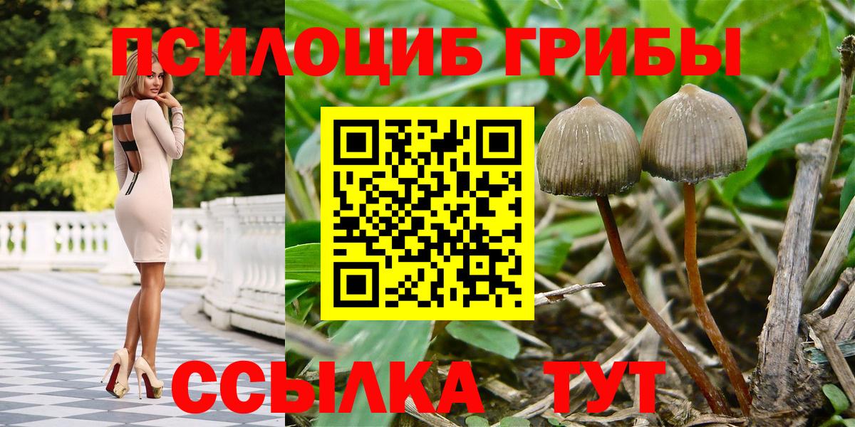 Псилоцибиновые грибы прущие грибы Кинель