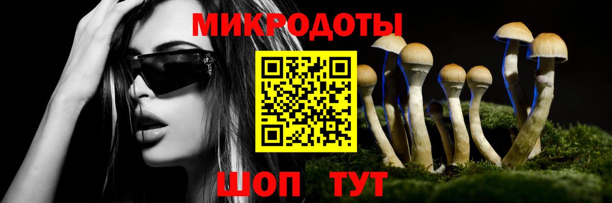 Кинель  Псилоцибиновые грибы MAGIC MUSHROOMS  Вход с VPN 